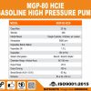 MGP-80-HCIE-1-e1677637789214.jpg