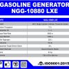 NGG-10880-LXE-1-e1672127159887.jpg