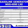 NGG-4990-LXE-1-e1672124331285.jpg